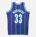 Alonso Mourning Charlotte Hornets 1994-95 Official NBA Mitchell & Ness Jersey