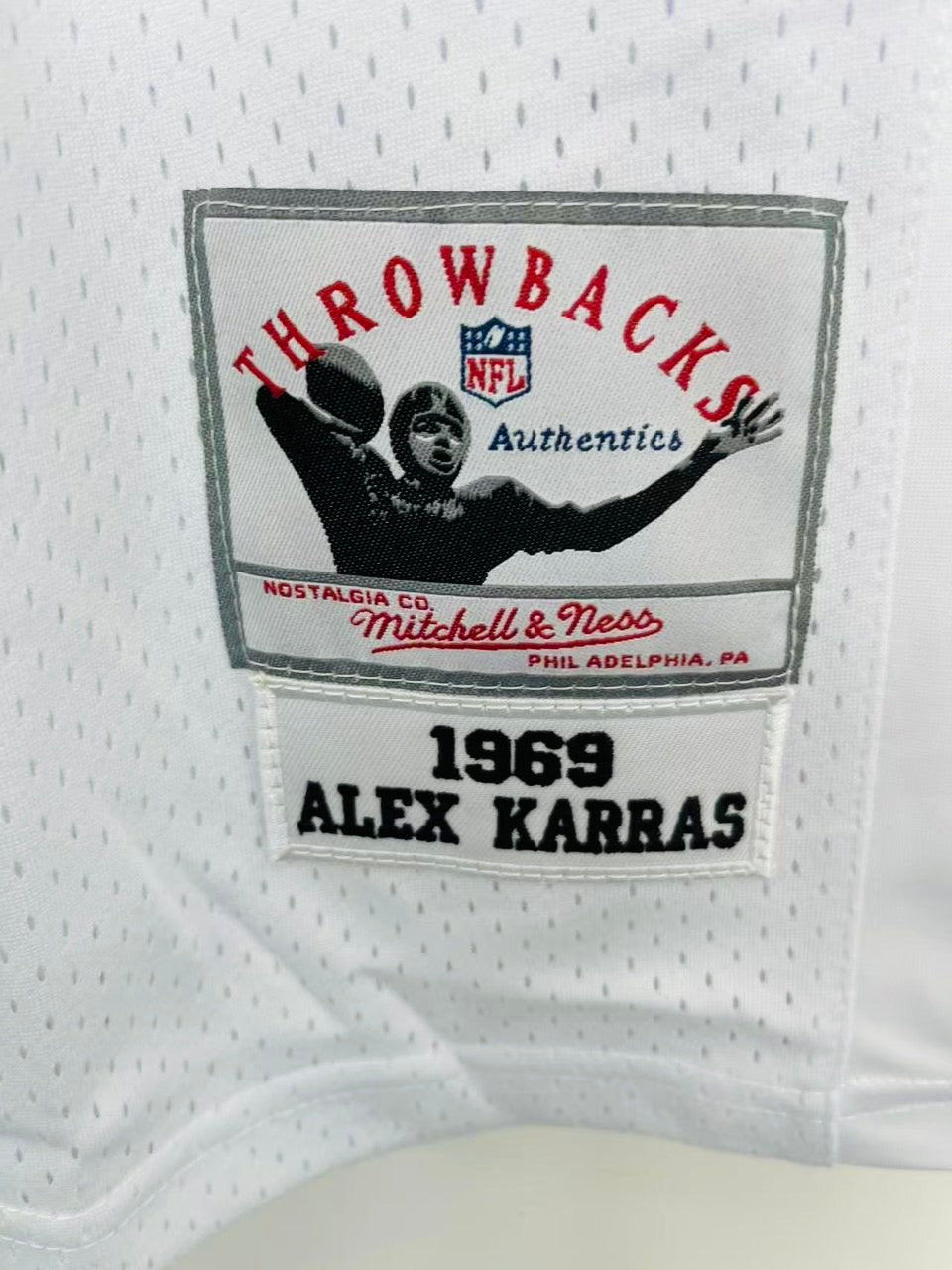Alex Karras 1969 Detroit Lions NFL Mitchell & Ness Jersey