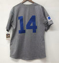 Ernie Banks Chicago Cubs Jersey 1968 Cooperstown Collection Mitchell & Ness