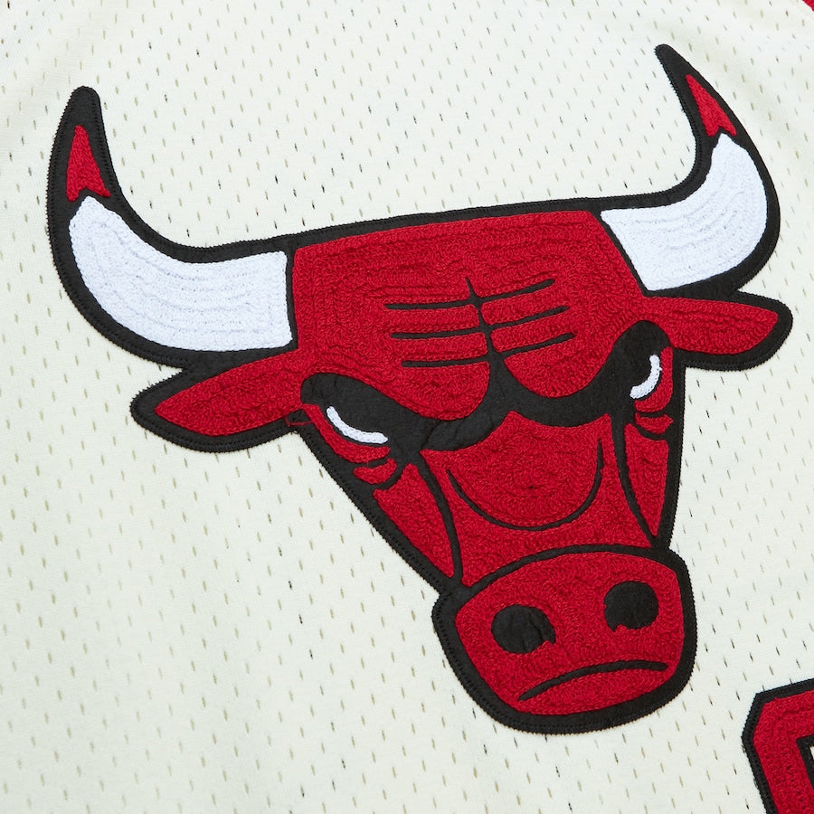 Dennis Rodman Chicago Bulls Official NBA Jersey Mitchell & Ness cream color