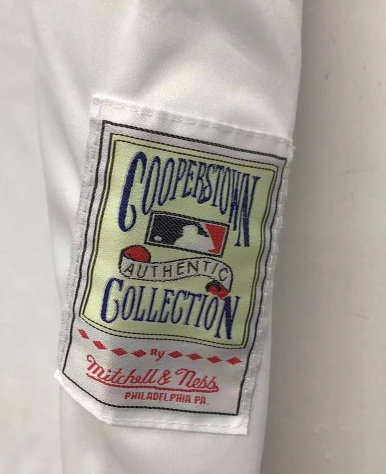Kirk Gibson Los Angeles Dodgers Jersey Mitchell & Ness