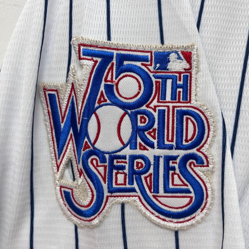 Roy White New York Yankees Jersey pinstripe 1977-78  Mitchell & Ness