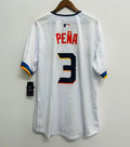 Jeremy Pena Houston Astros 2025 Official MLB NIKE Jersey