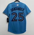 Anthony Santander YOUTH Toronto Blue Jays Official MLB Nike Jersey Light Blue