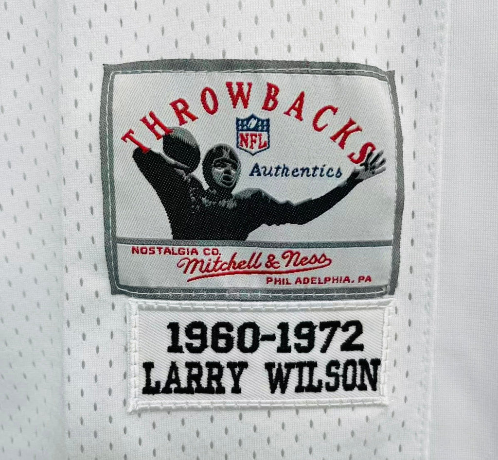 Larry Wilson  St. Louis Cardinals NFL Mitchell & Ness Jersey white