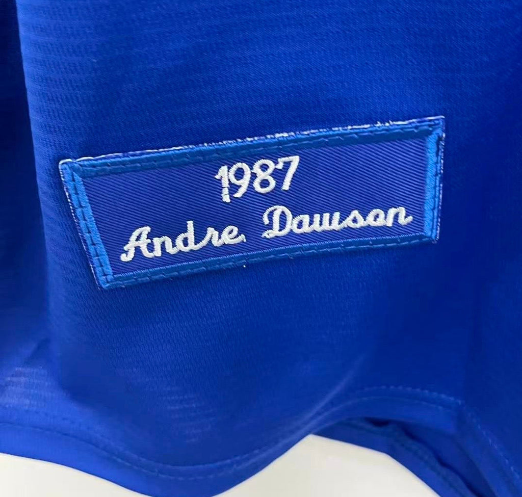 Andre Dawson Chicago Cubs Jersey 1987 Mitchell & Ness