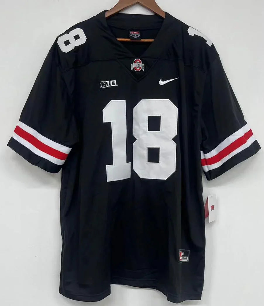 Any Name & Number Ohio State Buckeyes customized Nike Jersey