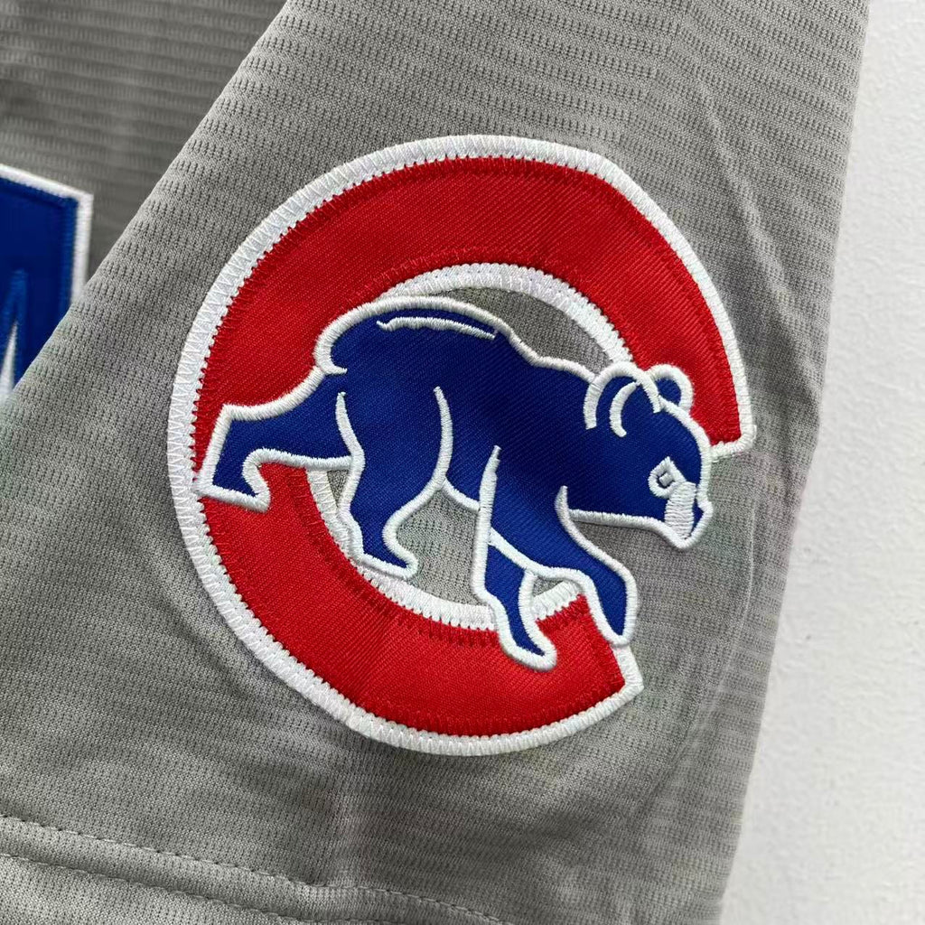 Any Name & Number Chicago Cubs Official MLB Nike Customized Jersey Gray