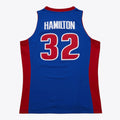Richard Rip Hamilton 2003-04 Detroit Pistons Official NBA Mitchell & Ness Jersey