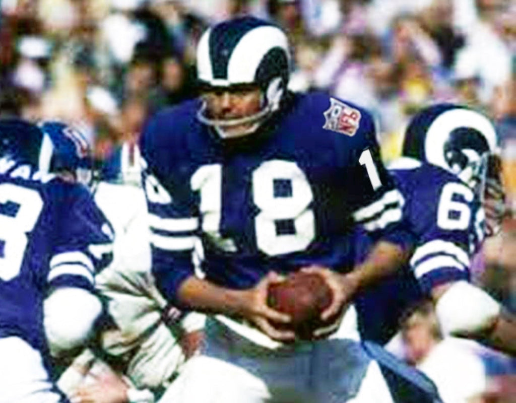 Roman Gabriel 1969 Los Angeles Rams NFL Mitchell & Ness Jersey blue