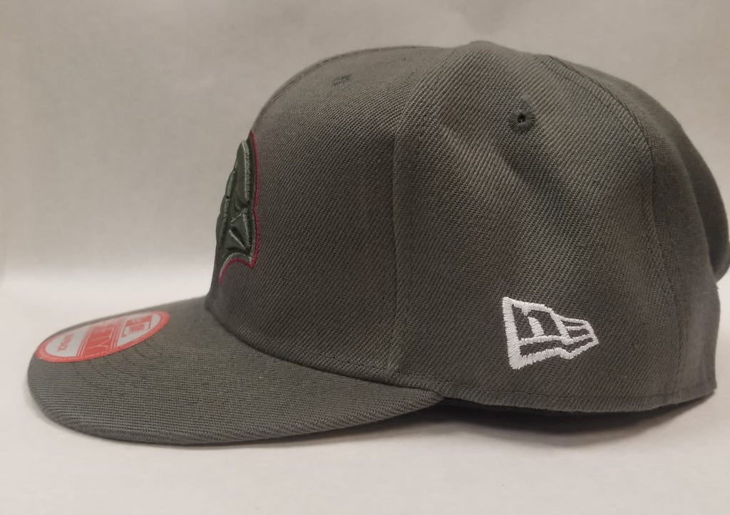 Arizona Cardinals Official NFL New Era Salute to Service Hat adjustable