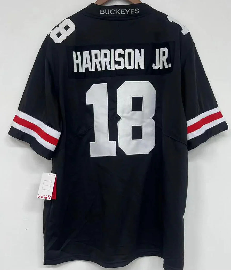 Any Name & Number Ohio State Buckeyes customized Nike Jersey