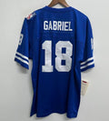 Roman Gabriel 1969 Los Angeles Rams NFL Mitchell & Ness Jersey blue