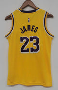 Lebron James Los Angeles Lakers Jersey yellow #23