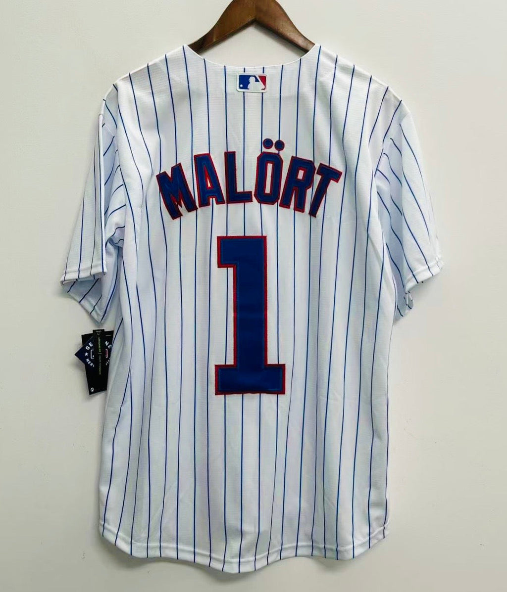 Any Name & Number customized Chicago Cubs Official MLB Nike Customized Jersey