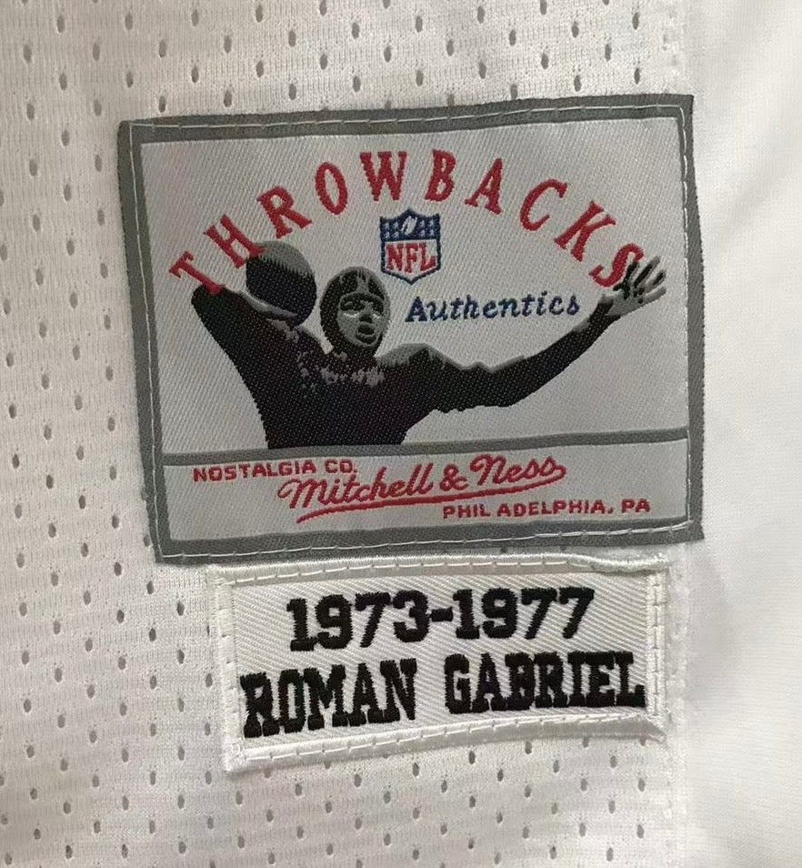 Roman Gabriel Philadelphia Eagles NFL Mitchell  & Ness Jersey