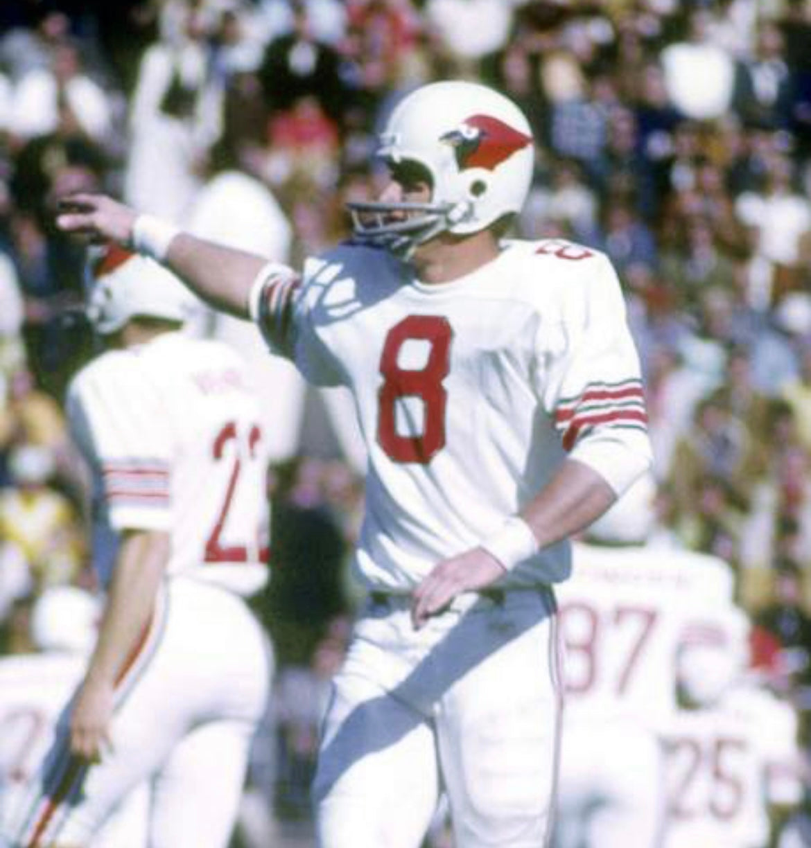 Larry Wilson  St. Louis Cardinals NFL Mitchell & Ness Jersey white
