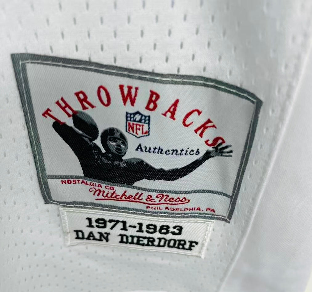 Dan Dierdorf St. Louis Cardinals NFL Mitchell & Ness Jersey white