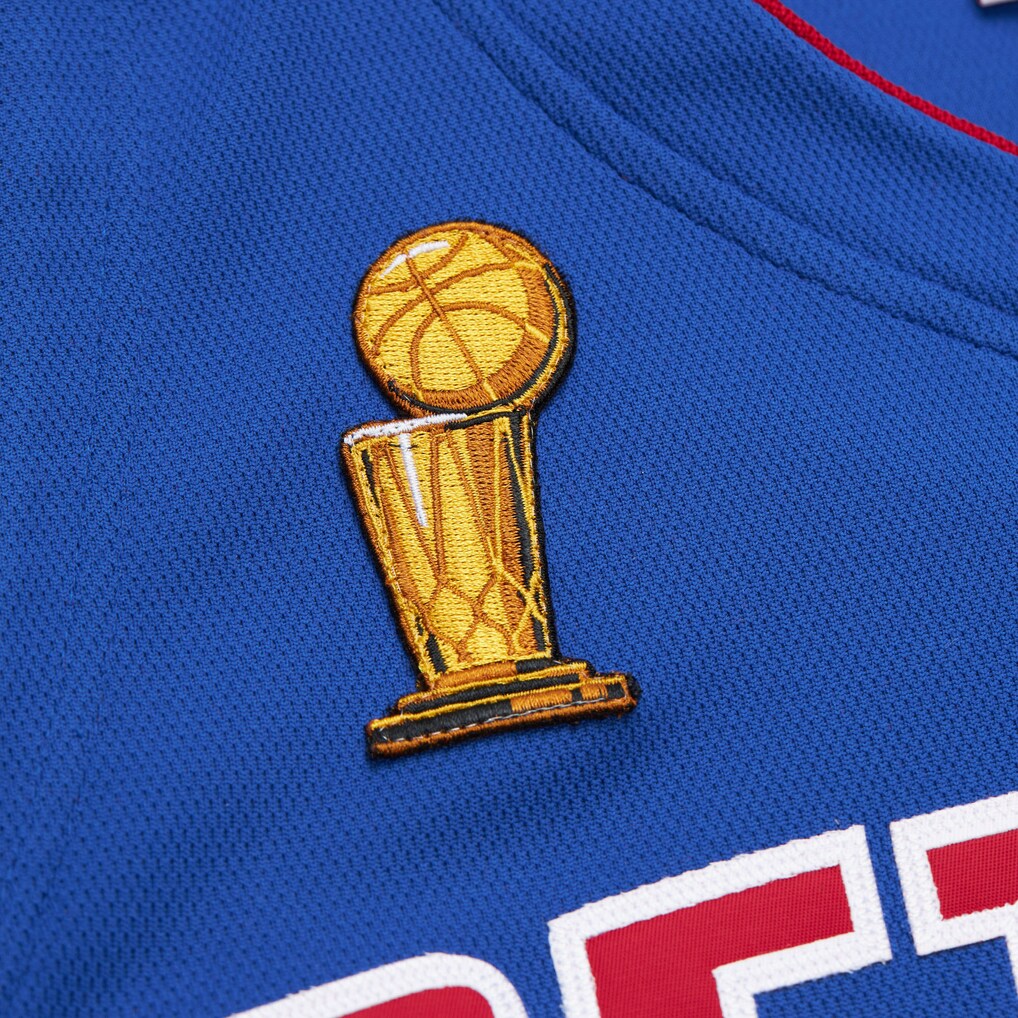 Richard Rip Hamilton 2003-04 Detroit Pistons Official NBA Mitchell & Ness Jersey