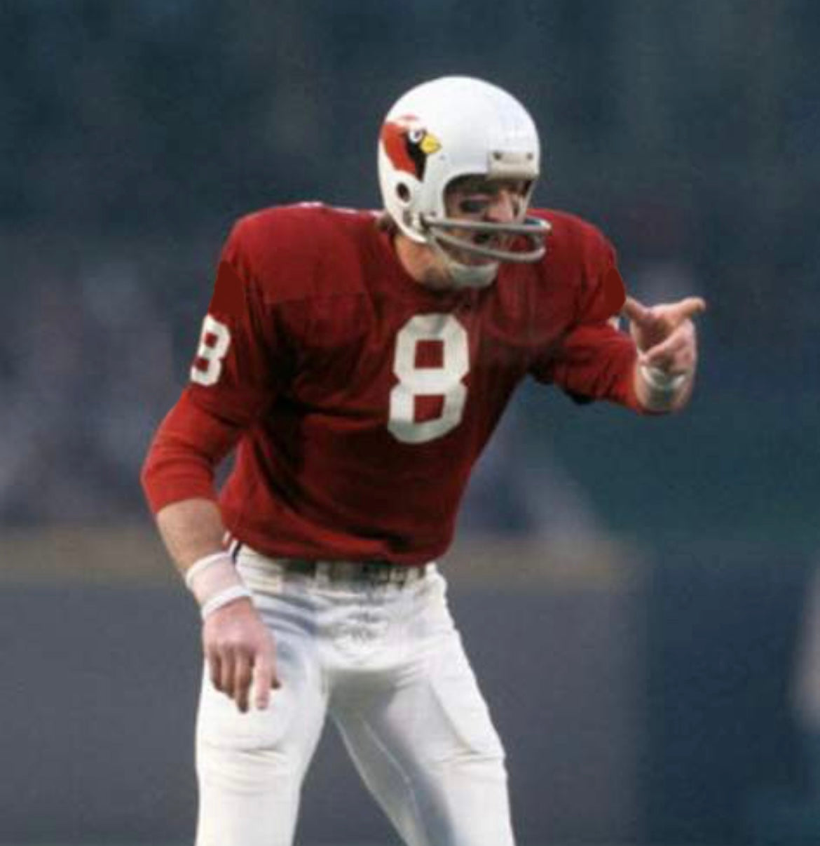 Larry Wilson 1969 St. Louis Cardinals NFL Mitchell & Ness Jersey