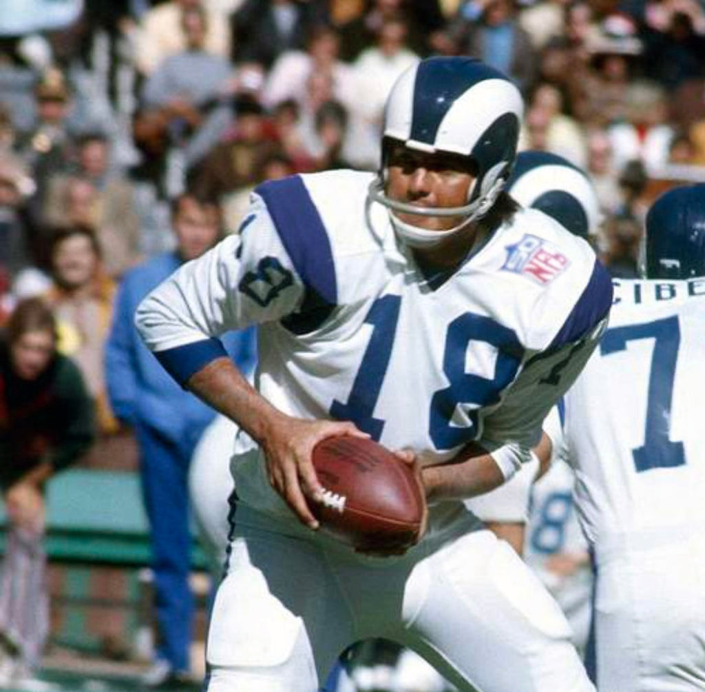 Roman Gabriel 1969 Los Angeles Rams NFL Mitchell & Ness Jersey