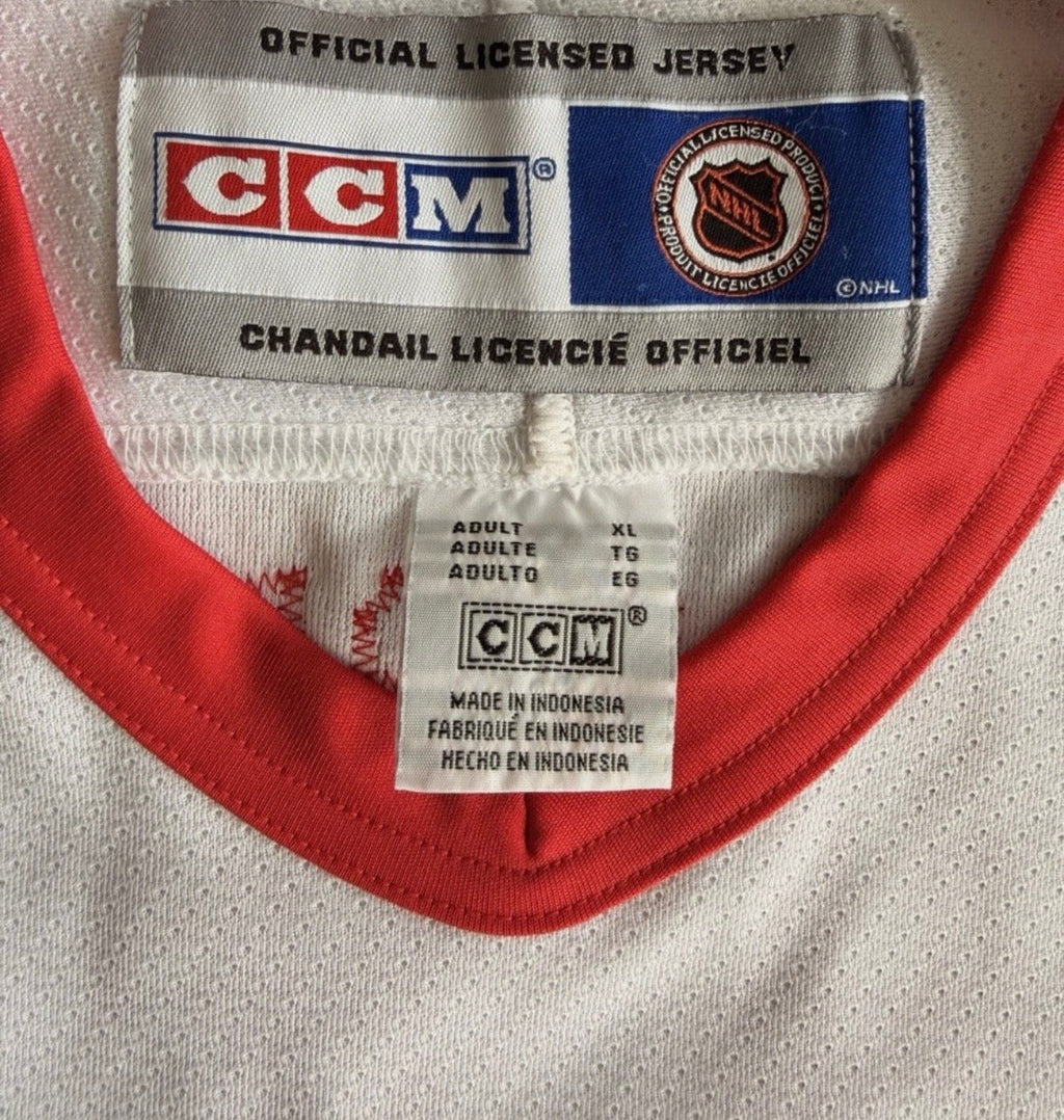 Dominik Hasek 2002 Detroit Red Wings Official NHL CCM Jersey