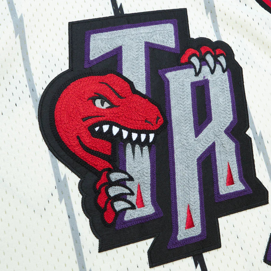 Vince Carter Toronto Raptors Official NBA Mitchell & Ness Jersey