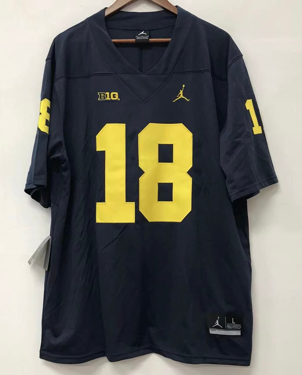 Amani Toomer Michigan Wolverines Official NCAA Jersey