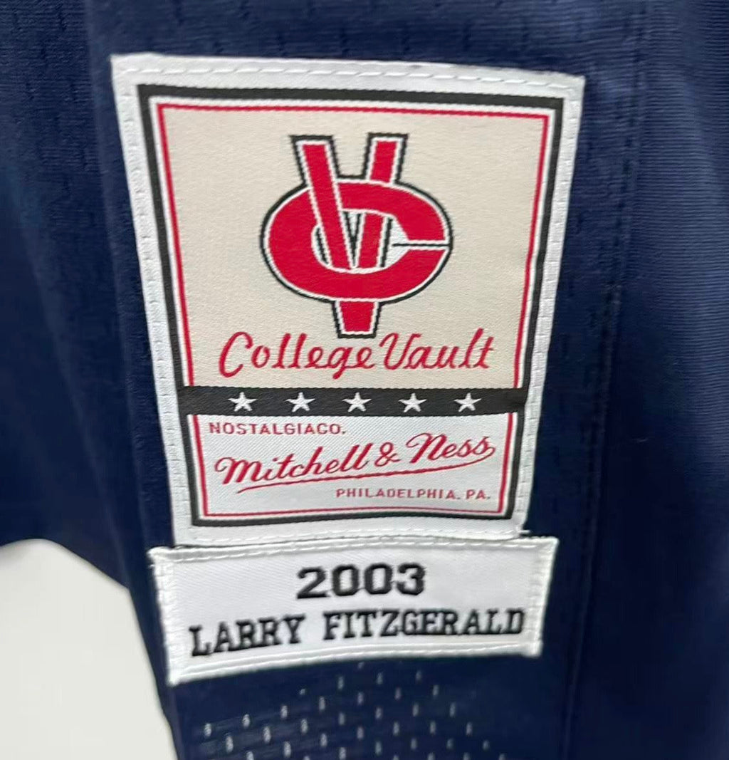 Larry Fitzgerald University of Pittsburgh Pitt. Panthers jersey College Vault Mitchell & Ness