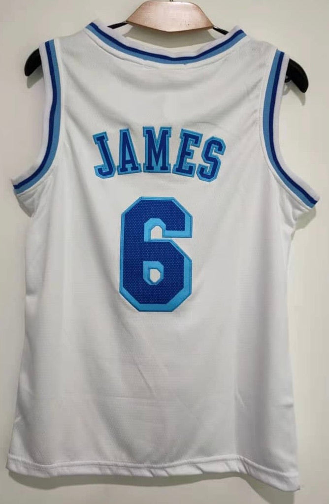 LeBron James #6 Los Angeles Lakers Classic Authentics Jersey