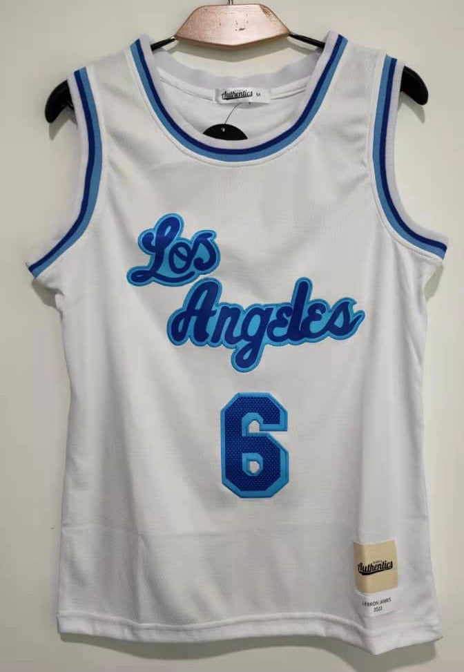 LeBron James #6 Los Angeles Lakers Classic Authentics Jersey