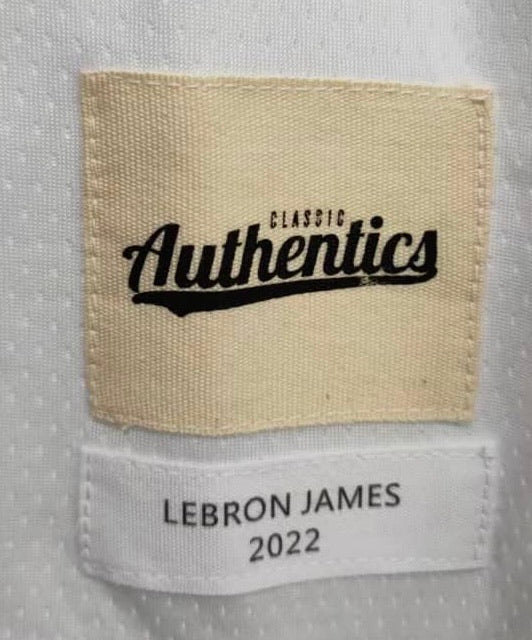 LeBron James #6 Los Angeles Lakers Classic Authentics Jersey